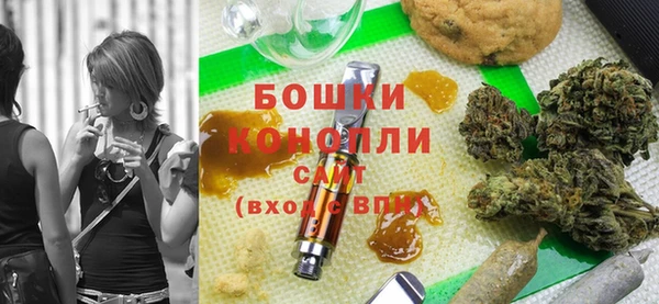 PSILOCYBIN Алзамай