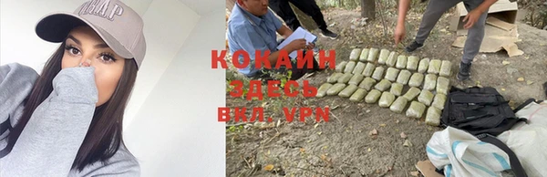 винт Алексин