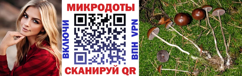 Галлюциногенные грибы Psilocybine cubensis сколько стоит Ишим